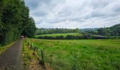 Tocht Stappen Thuin - Balade de Thuin à Lobbes - Photo 10