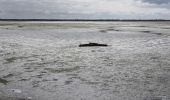 Tour Radtourismus  Saint-Martin-de-Ré - Île de ré - Photo 14