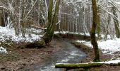 Trail Walking Aywaille - Harze - Photo 2