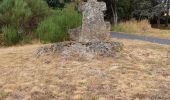 Trail Walking Le Malzieu-Ville - LE MALZIEU - APCHER  - Photo 1