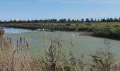 Trail Road bike Marchésieux - Utah Beach - Photo 1