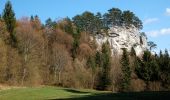 Percorso A piedi Gemeinde Gutenstein - Gutenstein - Purbach (Kasperhof) - Thal - Photo 3