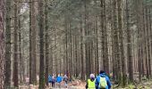 Trail Walking Libin - Libin - Photo 4