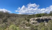 Excursión Senderismo Saint-André-de-Cruzières - CHADOUILLET - Photo 8