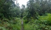 Excursión Senderismo Esneux - pré de tilff . bois du manant.  bois des chevreuils  . pré  de tilff - Photo 3