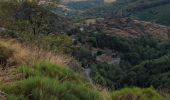 Tocht Stappen Mont Lozère et Goulet - Château de Tournel - Photo 19