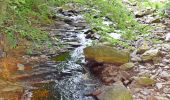 Tour Wandern Eupen - 20250714 - BIOS Ternell - 8.8 Km - Photo 3