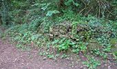 Tour Zu Fuß Grevenmacher - FB Grevenmacher I - Photo 1