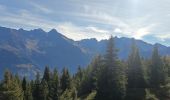 Randonnée Marche Crêts-en-Belledonne - le grand Rocher via le Barioz et le refuge du Cret du Poulet - Photo 3