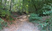 Trail Walking Fosses-la-Ville - Sart Eustache 300822 - Photo 12