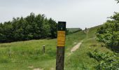 Trail Walking Omblèze - Le Plateau d'Ambel du Col de la Bataille - Photo 4