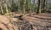 Trail Walking Momignies - Seloignes 23 - Photo 1