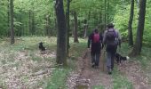 Trail Walking Aywaille - harzee  13km - Photo 8