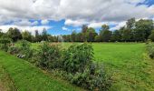 Tocht Stappen Dourdan - Le tour du Grand Paris via le GR1 Etape 18 Dourdan Rambouillet - Photo 16