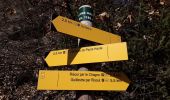 Trail Walking Guillestre - Risoul: Le Villaret   Peyre Haute - Photo 17