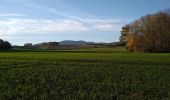 Trail Walking Sentheim - Sentheimtour Covid série 2 - Photo 8