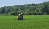 Tour Wandern Chaumes-en-Brie - Châteaux autour de Chaumes en Brie - Photo 3