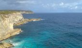 Trail Trail Port-Louis - Anse Bertrand massious porte d’enfer - Photo 12
