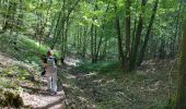 Trail Walking Viroinval - Olloy sur Viroin 23 km - Photo 14