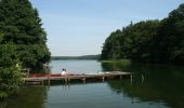 Tour Zu Fuß Feldberger Seenlandschaft - Krüseliner Rundweg - Photo 3