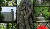 Tour Wandern Chimay - Vallée de l' Eau Blanche, Lompret - Photo 1