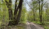 Tour Wandern Saint-Germain-en-Laye - Boucle - Maison Lafitte - Foret domaniale de Saint-Germain - Photo 2