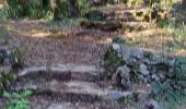 Trail Walking Correns - correns  - Photo 4