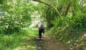 Trail Walking Trégastel - 2024 RA J2 Bretagne costamoricaine - Photo 2