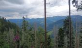 Tour Wandern Wegscheid - Sattelboden Stahlberg - Photo 5