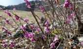 Tour Wandern Saint-Pierre-d'Albigny - Mont-Morbié-Frêne2021-03-05 001 - Photo 4