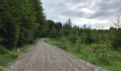 Trail Walking Libramont-Chevigny - Flohimont Freux 29 km - Photo 8