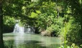 Excursión Senderismo Bras - A la rencontre du Cauron et de l'Argens - Photo 19