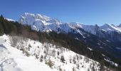 Tour Schneeschuhwandern Manigod - Comburxe - Photo 5