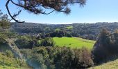 Trail Walking Comblain-au-Pont - Comblain-au-Pont d´une rive à l´autre - Photo 17