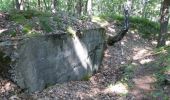 Tocht Te voet Maasmechelen - Mechelse Heide Gele zeshoek - Photo 8