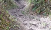 Trail Walking Clermont-Ferrand - PUY DE CHANTURGUE - Photo 12