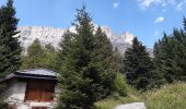 Tour Wandern Servoz - lac Vert,le chatelet,chalets de souay,Ayeres pierreries - Photo 8