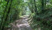 Trail Walking Colombier-le-Vieux - Colombier le Vieux Daronne Azur - Photo 6