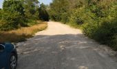 Tocht Wegfiets Le Grau-du-Roi - grau vélo marssillargues 17.06.23 - Photo 6