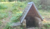 Trail Walking Orbey - Autour du Linge - Photo 15