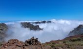 Excursión Senderismo Garafía - La Palma 5 : GR131- Roque de Los Muchachos - Pic de la Nieve - Photo 17