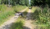 Tocht Stappen Chiny - Vallée de l’Eau - Photo 1