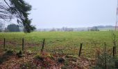 Trail Walking Houffalize - Pisserotte 151224 - Photo 13