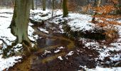 Tour Zu Fuß Ratingen - Angerland Rundweg A4 - Photo 2