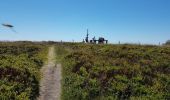 Tour Wandern Krüt - Lac de Kruth - Grand Ventron - château de Wildenstein  - Photo 16