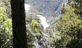 Randonnée Marche Moustiers-Sainte-Marie - Le col plein voir et la crête  - Photo 6