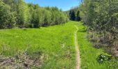 Tour Wandern Gedinne -  Vallée De la Hulle Bourseigne la neuve - Photo 8