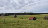 Trail Walking Libramont-Chevigny - rando laneuville(libramont)18/02/2021 - Photo 12