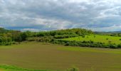 Randonnée Marche Riemst - autour de Kanne et St Pietersberg  - Photo 6