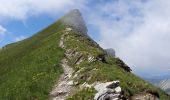 Excursión Senderismo Les Contamines-Montjoie - Aiguille Croche et Crête 7.7.22 - Photo 4